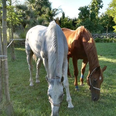 Tenuta Le Pantanelle Villa Sezze Dış mekan fotoğraf