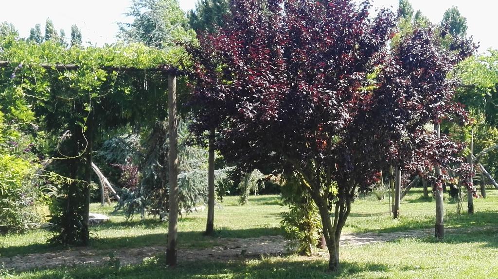 Tenuta Le Pantanelle Villa Sezze Dış mekan fotoğraf