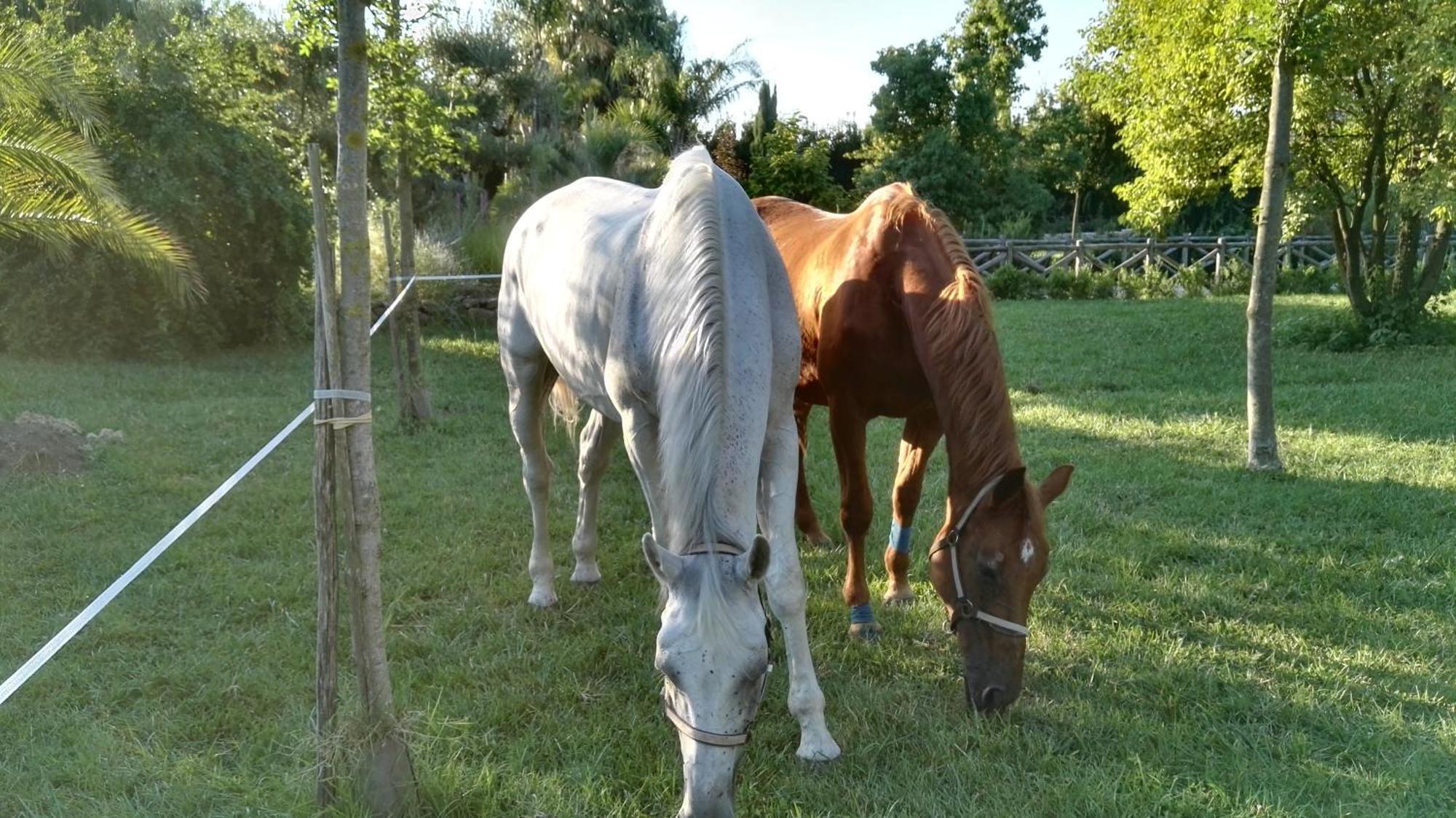 Tenuta Le Pantanelle Villa Sezze Dış mekan fotoğraf