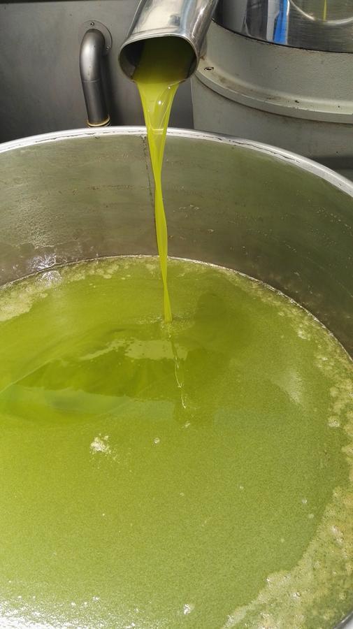 Tenuta Le Pantanelle Villa Sezze Dış mekan fotoğraf